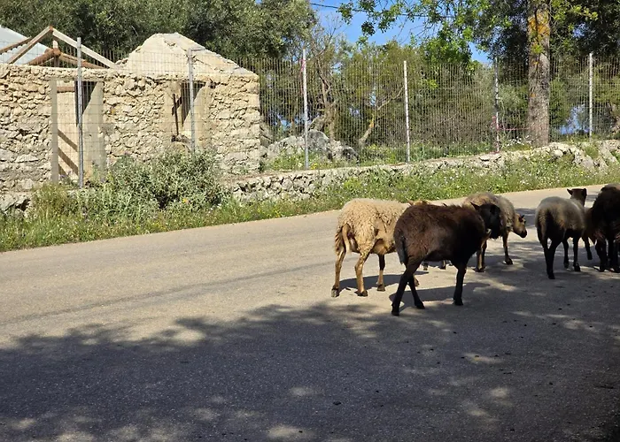 Ferienhaus Lagom Retreat - Askos