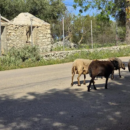 בית נופש Lagom Retreat - Askos